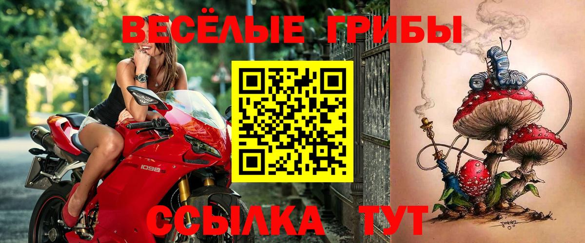Галлюциногенные грибы Cubensis  Вход с VPN  Псилоцибиновые грибы Magic Shrooms  Коркино 