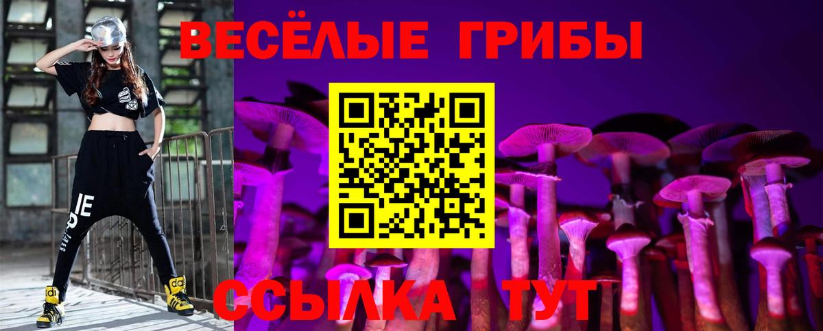 Псилоцибиновые грибы Psilocybine cubensis Коркино